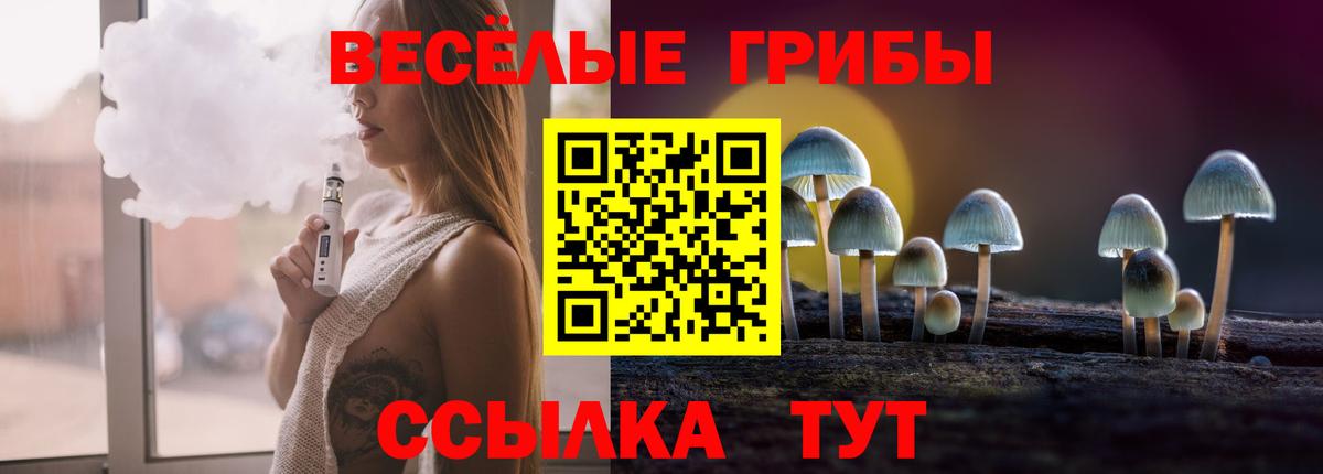 Галлюциногенные грибы Psilocybine cubensis Коряжма